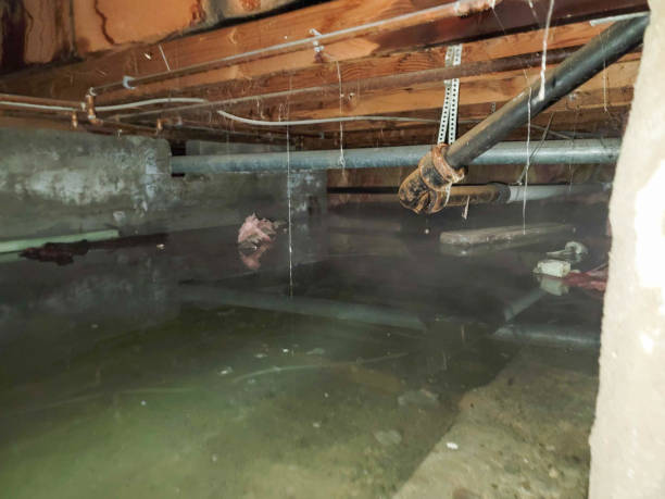 Best Flooded house restoration  in Grand Rapids, MN