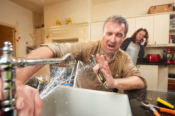 Best Flood damage cleanup  in Grand Rapids, MN
